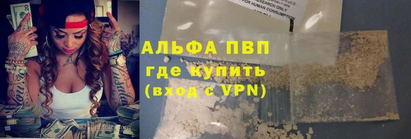 стафф Алексин