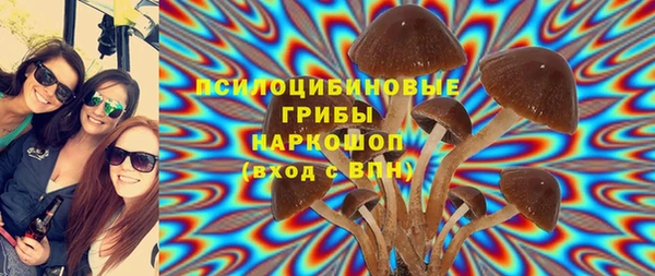 первитин Пролетарск