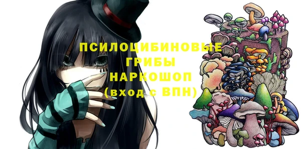 СК Протвино